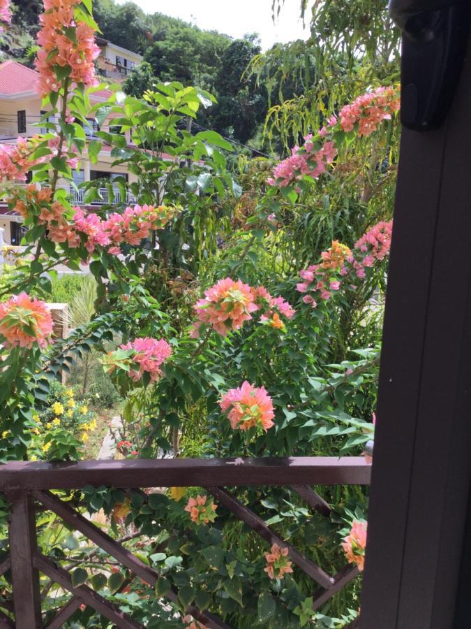 Bougainvillas Seychelles 앙스 로얄 외부 사진