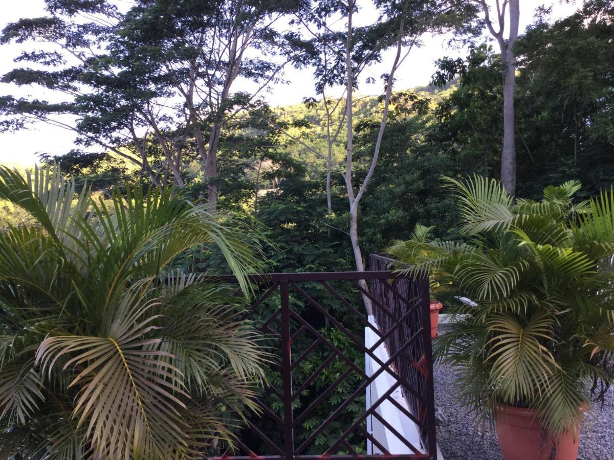 Bougainvillas Seychelles 앙스 로얄 외부 사진