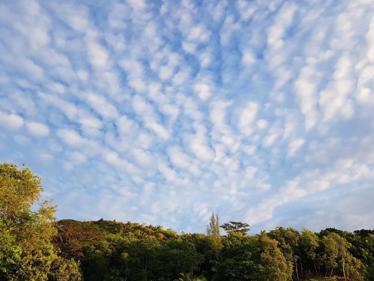 Bougainvillas Seychelles 앙스 로얄 외부 사진